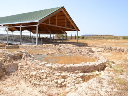 Yacimiento de Villaricos 2014